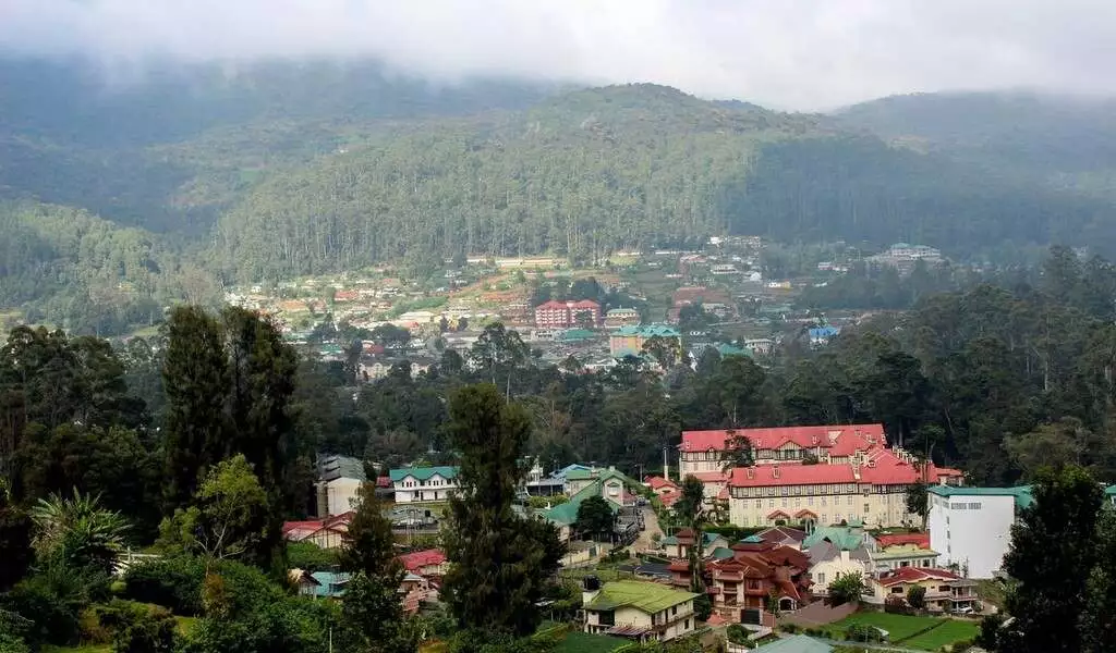 View over Nuwara Eliya